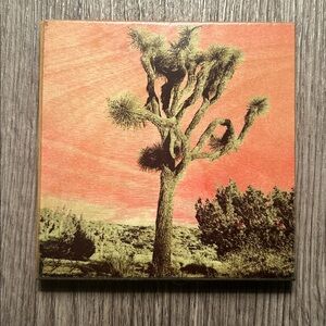 Joshua Tree Wooden Art